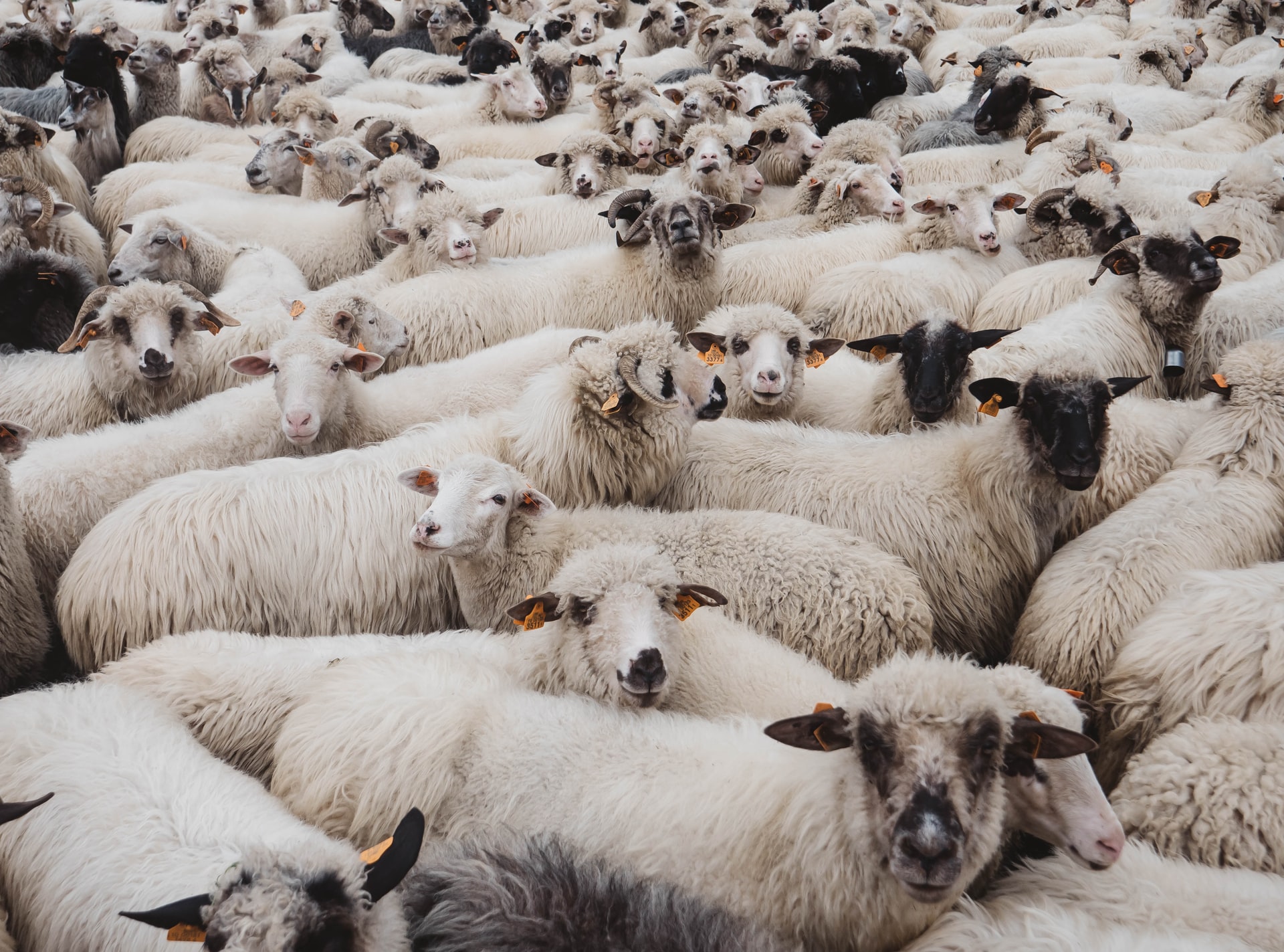 krzysztof-kowalik-kAxl973l9LI-unsplash