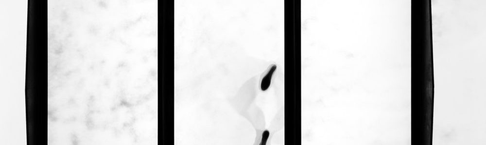 dominic-brugger-8Ebg0OFQsZQ-unsplash