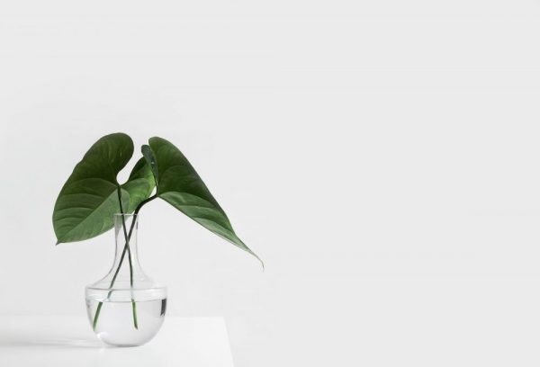 sarah-dorweiler-x2Tmfd1-SgA-unsplash-e1564773097788
